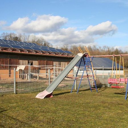 Ferienwohnung Pferdefreunde Loberhof Weihenzell Exterior foto